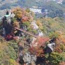 (주)명진관광