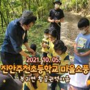 주천초등학교병설유치원 이미지