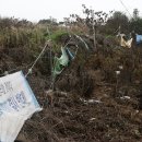 천지자연마을 이미지