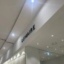 일상기록(양배추참치덮밥, 정관황금정원솥밥, 로지텍버티컬마우스 LIFT LEFT, 르메르, 호우섬)