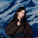 퍼피스타일 매일경제