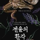 환각