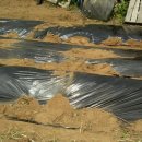 도희농장 이미지