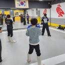 팀크로우 MMA 이미지