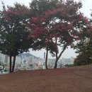 보인고등학교 정문 이미지