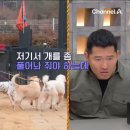 네버랜드솔루션