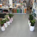 터미널종로약국 이미지