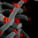 메디스메디칼 이미지