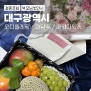 꽃 | 남자친구 부모님 첫인사 선물 추천 케이크 꽃 과일 후기