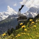 산들샬레 이미지