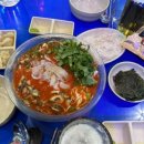 하이파켓 이미지
