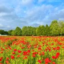 수원농장 이미지