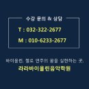 바이올린 (A) NEW 이미지