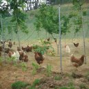 남면농장 이미지