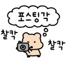 삼조상회