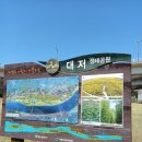 강서 낙동강30리 벚꽃축제(2025년) 이미지