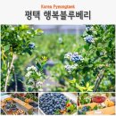 서해8농장 이미지