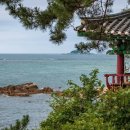 홍루몽 - 서초구 반포대로12길 26 | 홍루몽
