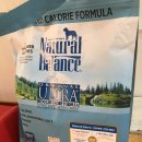 압구정웰동물병원 이미지