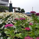 남해-290 이미지