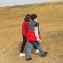 농업회사법인(주)더드림 이미지