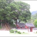 박충원묘 이미지