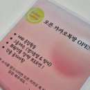 광명 베럴테니스, 테린이 테니스 입문, 내돈내산 테니스레슨 후기