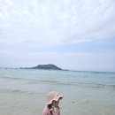 광평자전거 | 제주도 서쪽 여행 코스 | 칠순 가족여행 4박5일 리얼 후기
