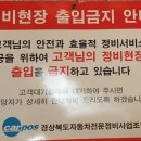 성실카