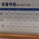 양주 온 동물병원 네이버블로그