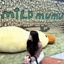 신세계 강남 센트럴시티 마일드 무무 miLD mumu 봄나들이 팝업 스토어 기간 후기