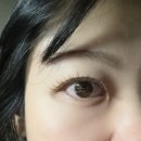 홍대 네일·스킨 더뉴올 | [홍대 속눈썹] LED속눈썹포인트펌연장 뷰아즈 후기 | 속눈썹 색 다양함 (네일,스킨케어)