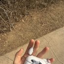 줄리엣스토어 | 킬로 시에라 줄리엣