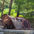 여름 캠핑은 여기지🏕️ 샘골솔밭야영장 후기 | 계곡+솔숲+편의시설 삼박자 완벽 야영장