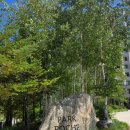 싱글멍글 | [정선] 파크로쉬 리조트 앤 웰니스 / 오대천뷰 숙암 트윈룸 2박 후기 #1 객실, 부대시설, 편의점