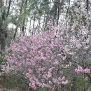 사림회관 이미지