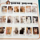 집사의 하루 건대점 이미지