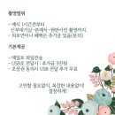 이피스튜디오 이미지