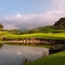 초원실내골프연습장 이미지