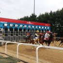 렛츠런파크 제주 이미지