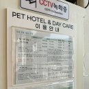 샘재로 3 이미지