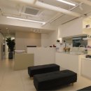 몽마르뜨 동물병원 이미지