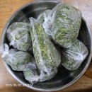 쑥이사랑