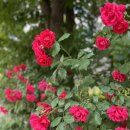 이배진내과의원 이미지