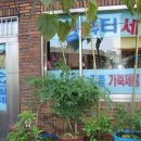 부산컴퓨터세탁소 이미지