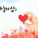 용인대삼일태권도 이미지