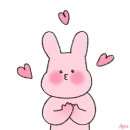 진바디핏 이미지