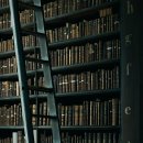 반려견 이해하기(펫) 이미지