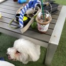 봉봉이 놀이터 이미지