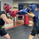 전일 복싱클럽 이미지